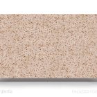 Santa Margherita Palazzo Foscari Marble Slab