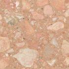 Santa Margherita Rosa Del Garda Marble Material Close Up