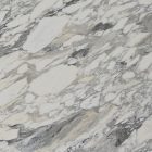 Arabescato Corchia Marble Close Up