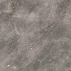 Fior Di Bosco Marble Material Close Up